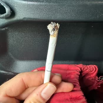 Philip Morris Sigara Dalı İçlerinde Çıkan Tütün Sapları