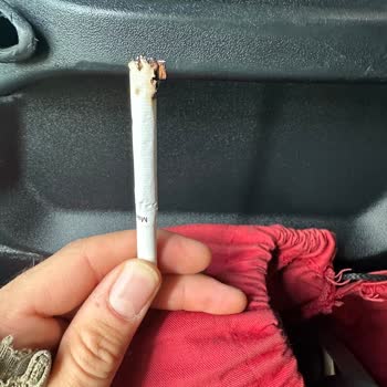 Philip Morris Sigara Dalı İçlerinde Çıkan Tütün Sapları