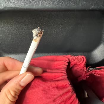 Philip Morris Sigara Dalı İçlerinde Çıkan Tütün Sapları