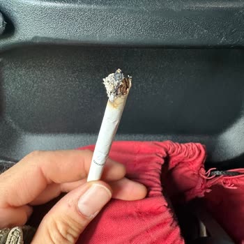 Philip Morris Sigara Dalı İçlerinde Çıkan Tütün Sapları