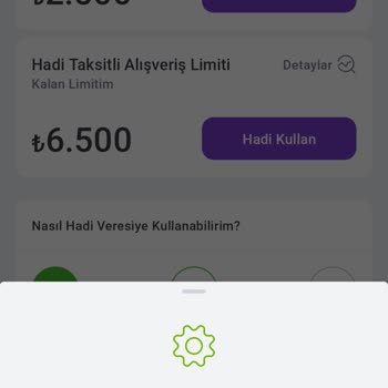 A101 Tom Finansman A. Ş. Hadi Veresiye Kullanamıyorum.