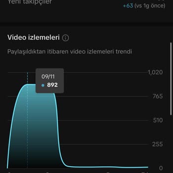 TikTok Videolarımın Hepsi Akışa Uygun Değil Deyip Bloke Yiyor Yardım