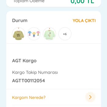 AGT Kurye (aynigunteslim.com) Ebebek Sipariş Takibi Sorunu