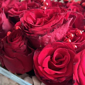 Çiçek Sepeti Satıcı Ve Çiçek Sepeti'nin Umursamazlığı!