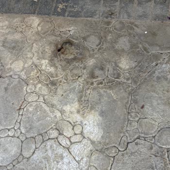 Marmara Site & Bina Yönetimi Şikayetçiyim