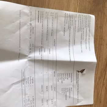 Samsung Samsun Televizyon Ekran Hatası