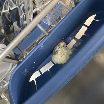 A101 Alışveriş Uygulaması Fairy Bulaşık Deterjanı Sorunu