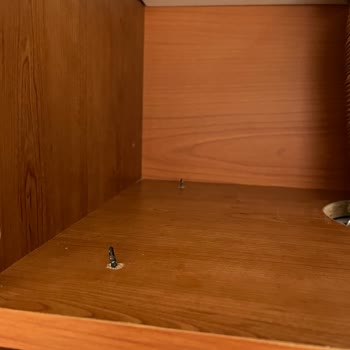 Altus Montaj Sorunu, Teknik Servis Sorunu