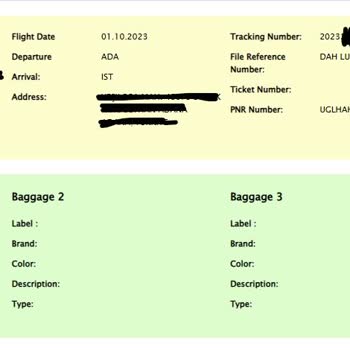 THY Bagaj Kayıplara Geri Dönüş Sağlamıyor