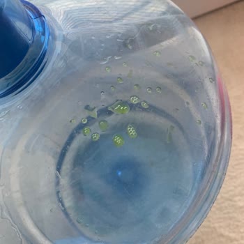 Fuska Su Damacana Yosun Tutmuş