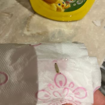 Dalin Marka Bebek Şampuandan Kurt Çıktı