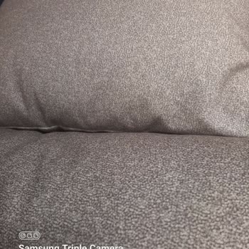 Enza Home Petra Koltuk Satin Alınmayan Ürünün Verilmesi