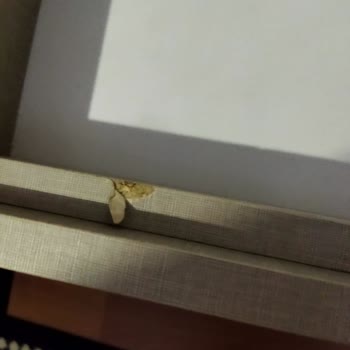 Aksu Home Şubesinden Alınan Dolapta Deformasyon Ve Kusurlar