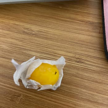 Kapalı Paketli Olips'lerde Çıkan Karıncalar