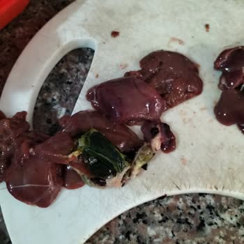 Şenpiliç Temizliğe Dikkat Edilmesi
