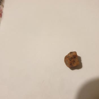 Anadolu Mutfağı Barbunyadan Taş Çıktı!