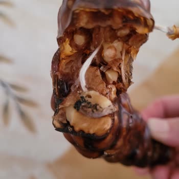 Alibey Süt Ürünleri Kurt Çıktı Ürünler Eski