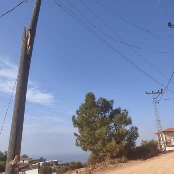 CK Enerji Akdeniz Elektrik Elektrik Direği Ve Telleri