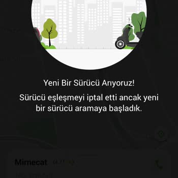 Martı Sürücüler Yolculuğu İptal Ediyor