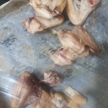 Şenpiliç Kanatta Siyahlık Ve Koku