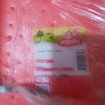 Şenpiliç Kanatta Siyahlık Ve Koku