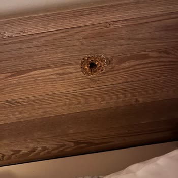 Kelebek Mobilya Genç Odasının Kısa Sürede Dağılması