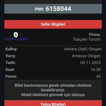 Obilet Varış Noktası Amasya Otogarı Yazmasına Rağmen Aracın Otogara Girmemesi