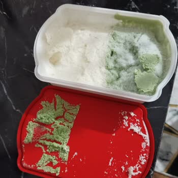 Algida Bozuk Dondurma Satışı