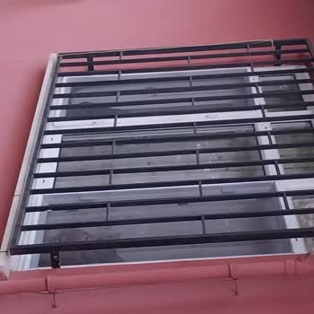 Hayvan Haklarını Koruma Derneği Hayvanlara Kasıtla İnsanlara Bela Ettirilmesi