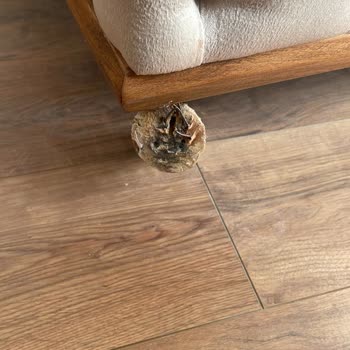 Özbay Mobilya Eşyaları Binanın İçerisinde Bırakıp Gitti