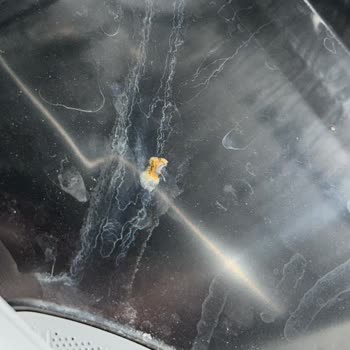 Dünya Markasi Bosch İle Dert Tasa Sahibi Ol!