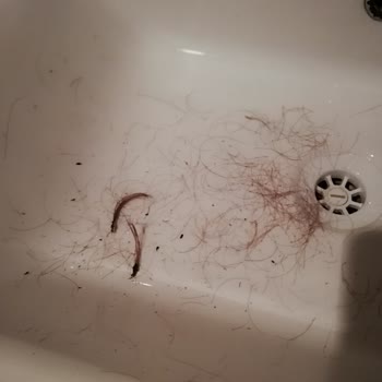 Eklips Fön Fırçası Yansı, Gratis İlgisiz Davrandı