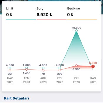 Findeks'te Kart Limitim Sıfır Görünüyor
