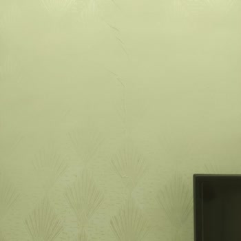 DASK (Doğal Afet Sigortaları Kurumu) Deprem De Hasar Olduğu Şikayet Çatlak Ve Cevap Alamıyoruz