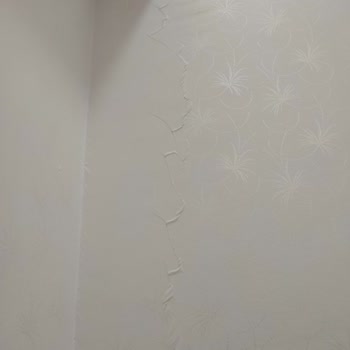 DASK (Doğal Afet Sigortaları Kurumu) Deprem De Hasar Olduğu Şikayet Çatlak Ve Cevap Alamıyoruz