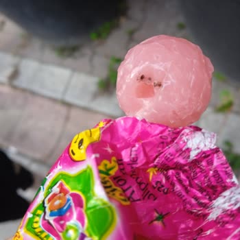 Toybox Karıncalı Lollipop Şeker