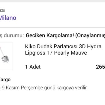 Aras Kargo Kargo Teslimat Gecikmesi Ve Sistem Sorunu