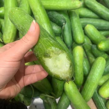 Carrefour Meyve/sebzeleri Bu Şekilde