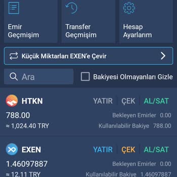 Bitexen Hesabım Sıfırlandı Ve Kar Zarar Gitti