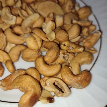 A101 Çerezya Kaju Kurtlanmış Ve Çürümüş.