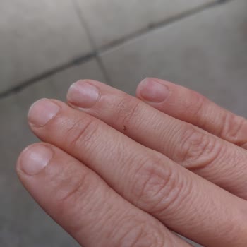 Aika Nail & Hair Studio Verilen Hizmetin Hizmetten Uzak Ve Zarar Vermek Oluşu