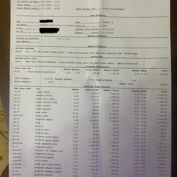 Peugeot Araç Ve Servis Sorunu