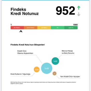 Findeks Puanım En Riskli Seviyede Gözüküyor