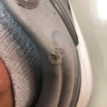 Adidas Quality Drop: Shoes Fall Apart in Months