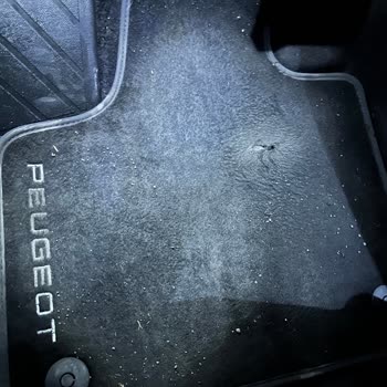 Peugeot 3008 Paspas Problemi