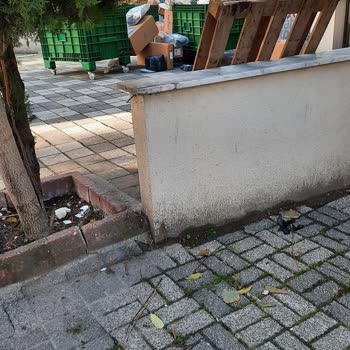 Sürat Kargo Bağlarbaşı Şubesi Dünya Düzelir Bu Şube Düzelmez
