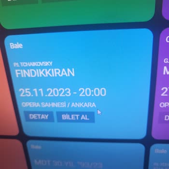 Devlet Opera ve Balesi Biletinial Opera Temsili Sorunu