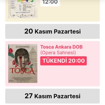 Biletinial.com Bilet Alma Sakıncası