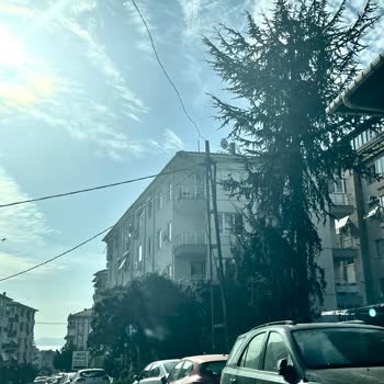 AYEDAŞ' In İlgisizliği