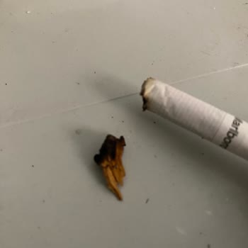 Philip Morris Sigaranın İçinden Tütün Yerine Başka Bir Şey Çıktı